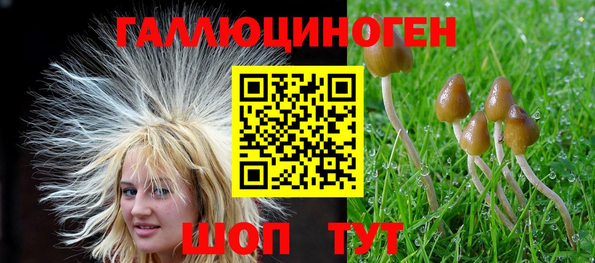Галлюциногенные грибы Cubensis Владикавказ