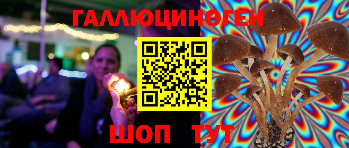 Владикавказ  Псилоцибиновые грибы ЛСД  как найти закладки  Вход с VPN  Псилоцибиновые грибы мицелий 